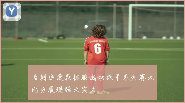 马刺逆袭森林狼成功扳平系列赛大比分展现强大实力