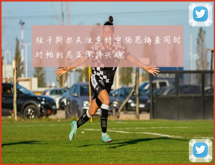纽卡斯尔关注多特中场恩梅查同时对帕利尼亚保持兴趣